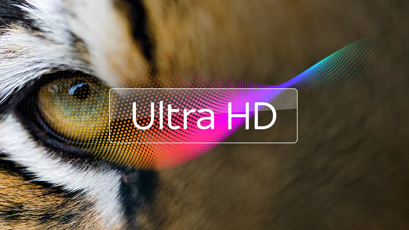 Ultra HD quality demonstration with tiger eye close-up