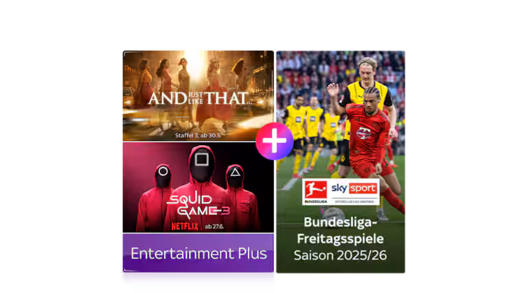 Skyfilmhub content showcase with Netflix and Bundesliga